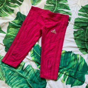 Adidas pink zebra pink track pants kids